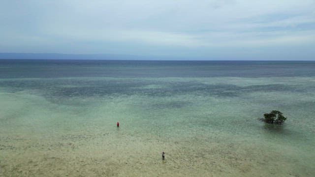 People walking on a shallow beach