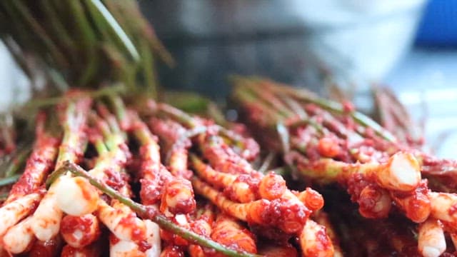 Green onion kimchi appetizingly mixed with spicy chili seasoning