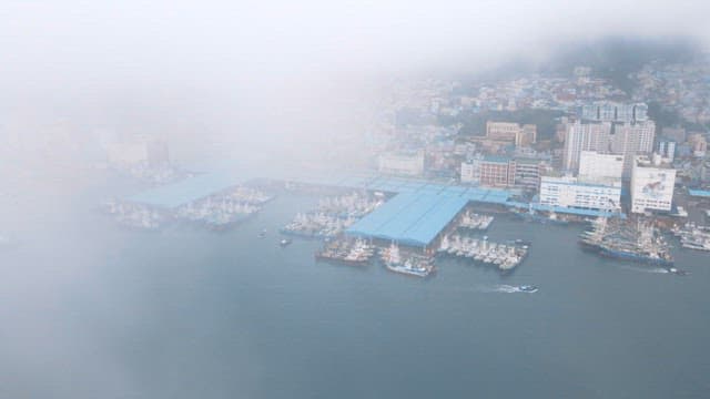 Foggy city harbor with ships