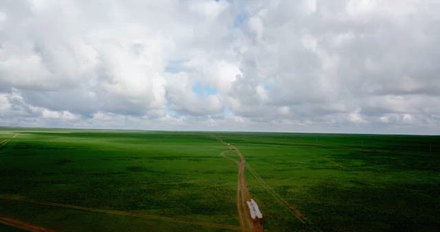 Vast green field under a cloudy sky