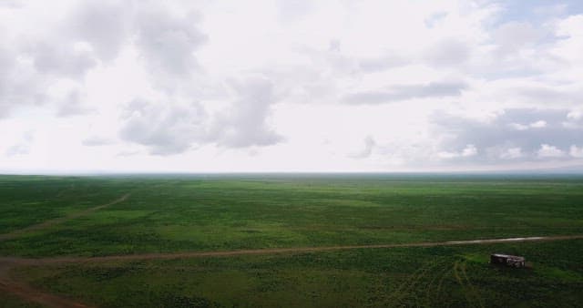 Vast green plains under a cloudy sky