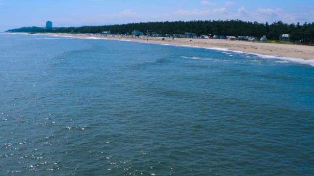 Serene Beach and Forest Sparkling with Sunlight at Midday