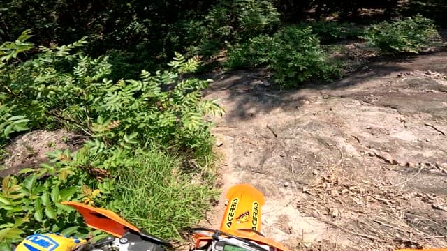 Off-Road Motorcycle Adventure in the Woods