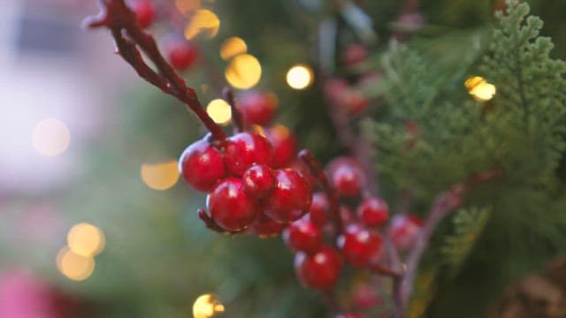 Christmas tree decorated with berries and lights