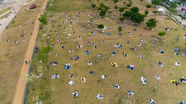 Relaxing People in the City Park with River