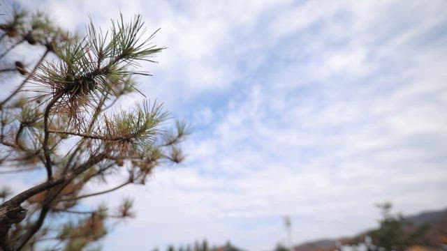 Traditional and rural Korean house with clear sky