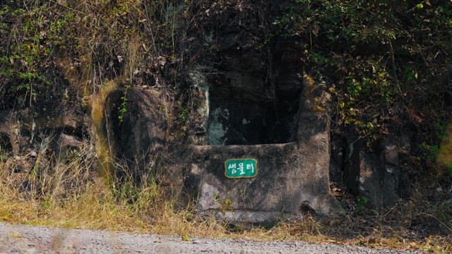 Spring waterfront surrounded by lush trees