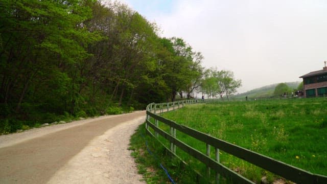 Pathway through a green farm on an overcast day