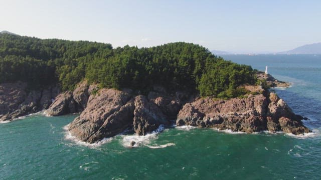 Scenic coastal view with lush greenery