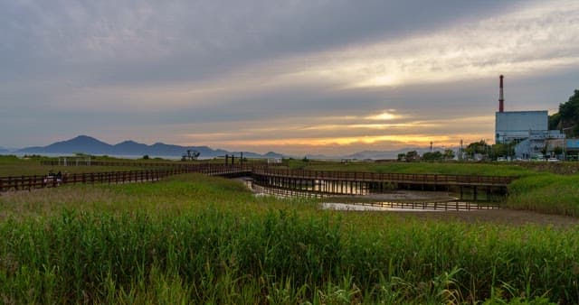 Evening view of an ecological park with wetlands and trails