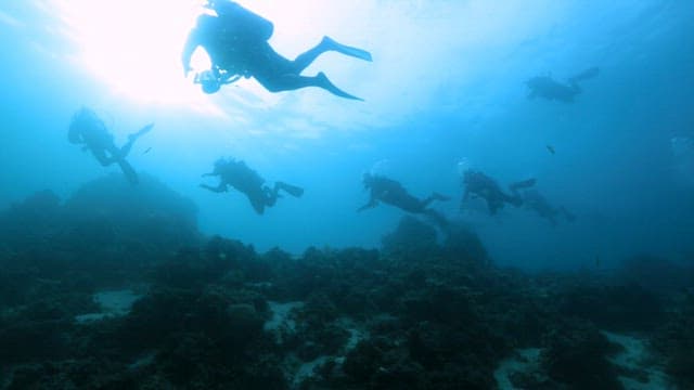 Scuba divers exploring the blue sea