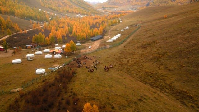 Scenic view of a yurt camp in autumn