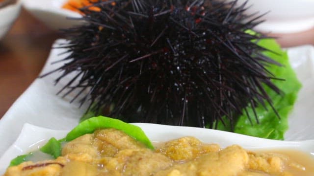 Well-prepared sea urchin roe