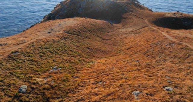 Coastal Grassland at Sunset