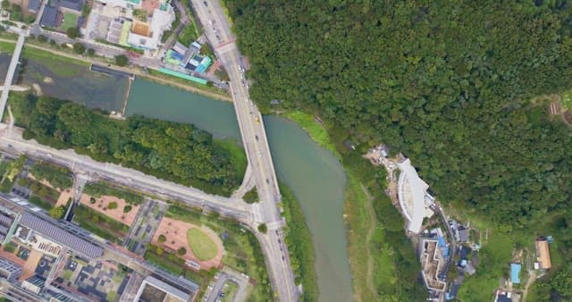 View of a road with a river and forest