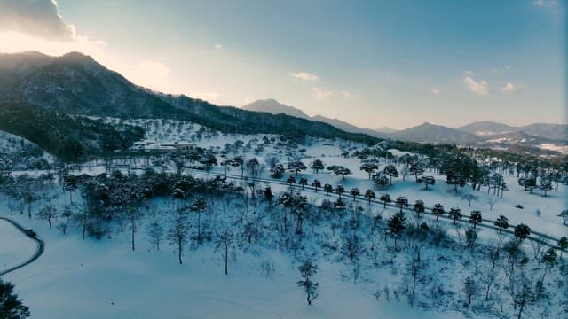 Snow-covered landscape with a forest and mountains