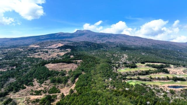 Vast landscape with mountains and forests