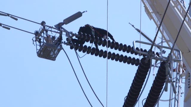 Electrician moving to inspect the high-voltage lines on a transmission tower