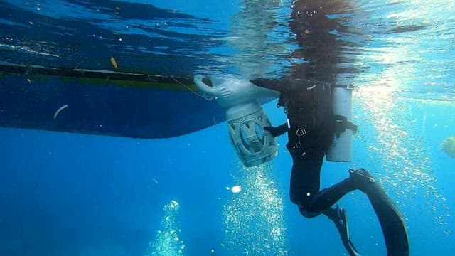 Diver installing a statue underwater in clear ocean