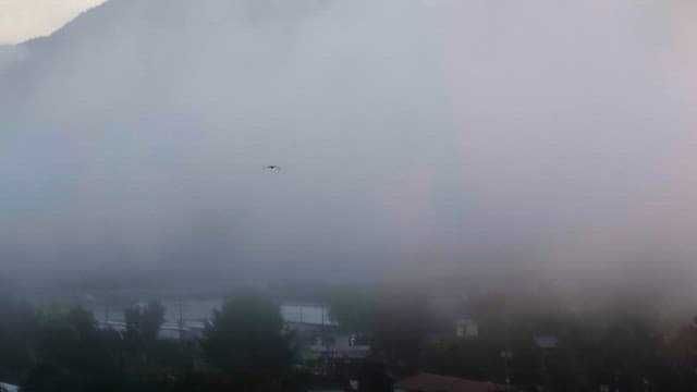 Misty mountains with a bird flying