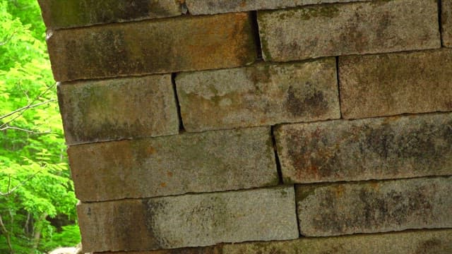 Old stone bridge substructure in a leafy forest