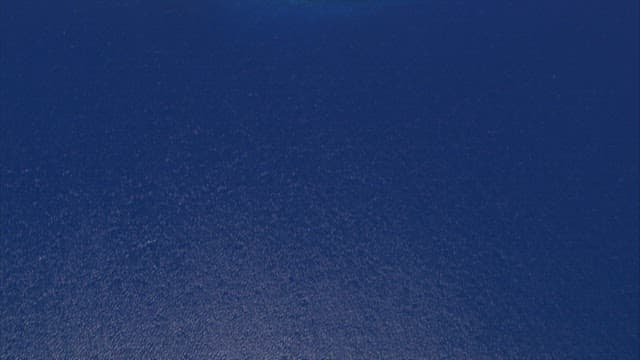 Coral reef under the sea seen from the sky