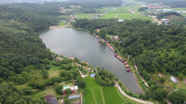 Peaceful fishing spot amidst lush greenery and farmland