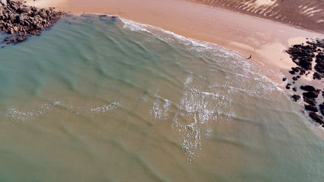 Serene Beach with Gentle Waves