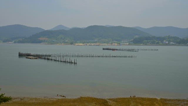 Serene Coastal Aquaculture in Misty Hills