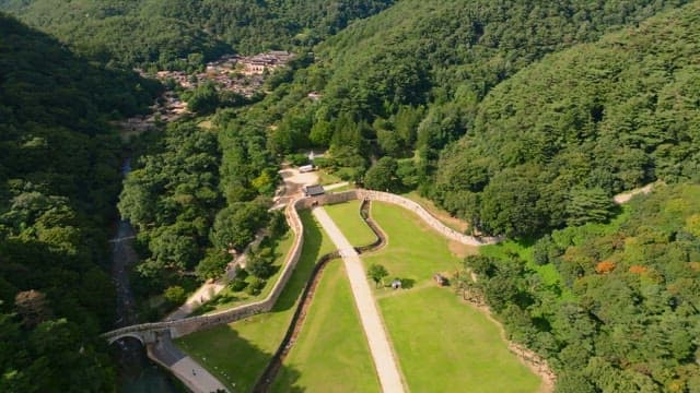 Vast landscape of green trees and forests