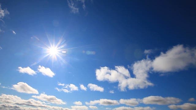 Sunlight Over a Landscape Teeming with Wildlife