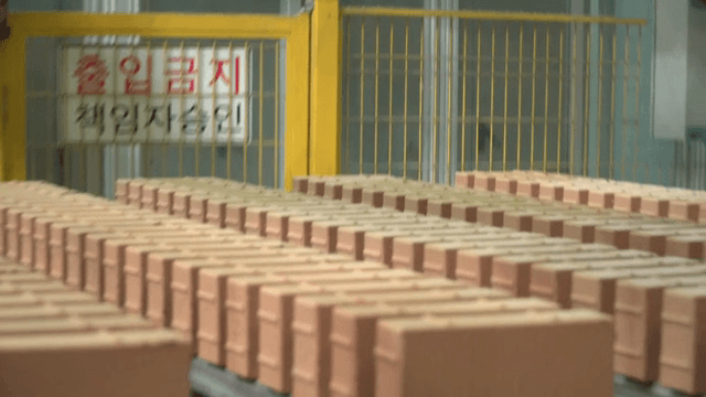 Bricks on a conveyor belt in a factory