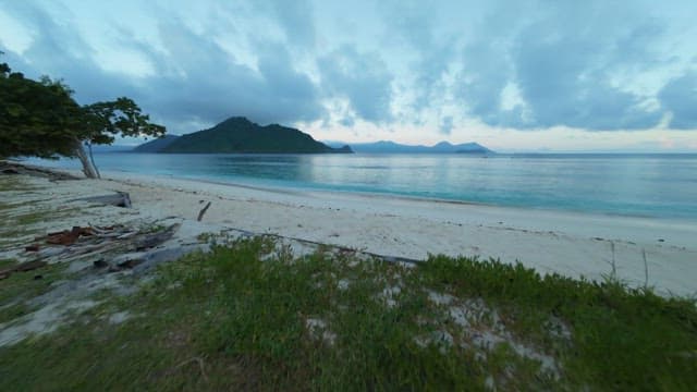 Quiet beach on an island with lush forest at dawn