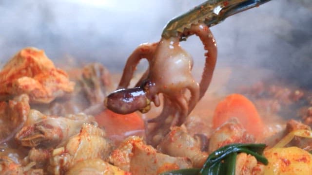 Braised spicy chicken with octopus and various vegetables