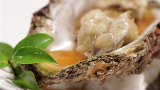 Appetizingly plated fried tropical oyster