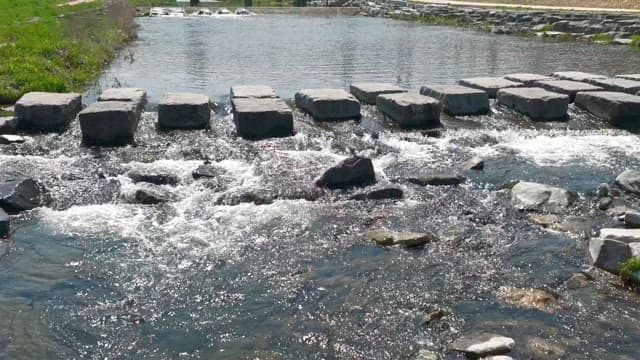 River flowing past a stepping stone bridge