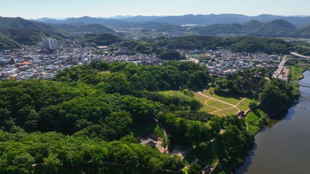 Lush green forest with a city in the background