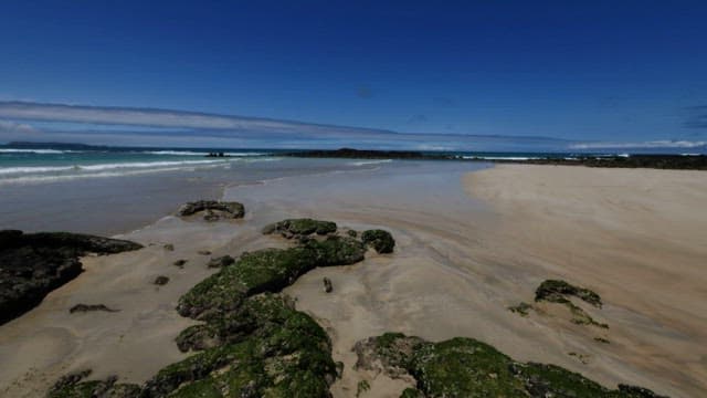 Serene Beach Panorama with Clear Skies