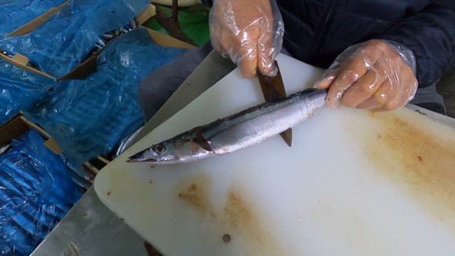 Saury being trimmed on a cutting board