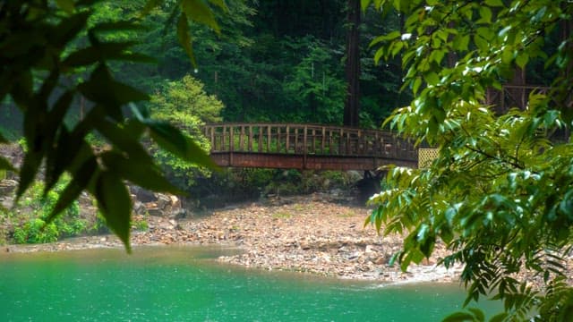 Wooden bridge over a quiet river in the forest