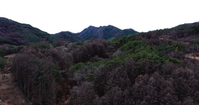 Tranquil mountain range with dense forest with trees coverage
