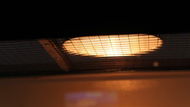 Iguana Resting under Artificial Light