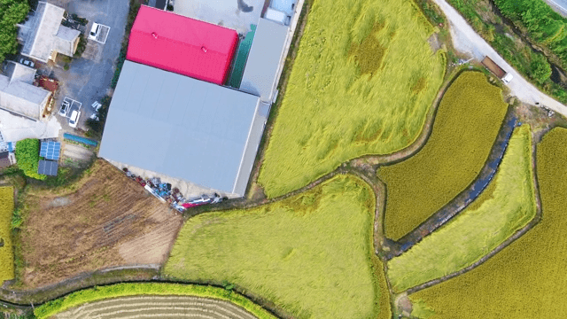 View of farmland and buildings