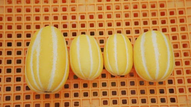 Korean Melons of Different Sizes on a Yellow Basket