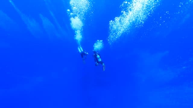 Divers Exploring the Tranquil Underwater World