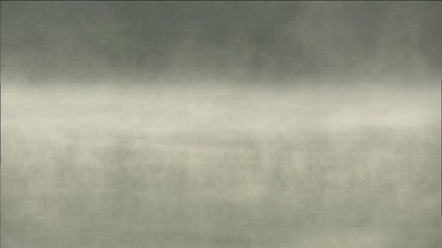 Bird Flying Over Misty Waters at Dawn