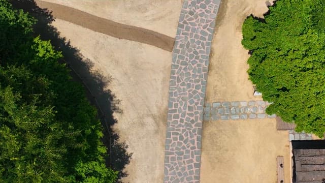 Aerial View of a Lush Park Pathway