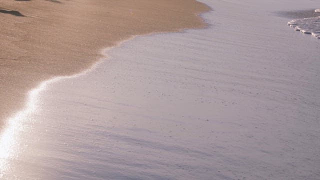 Waves Crashing on a Shiny Sandy Beach