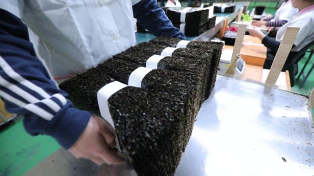 Seaweed being packaged in a factory