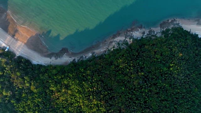 Aerial view of a beach and forest